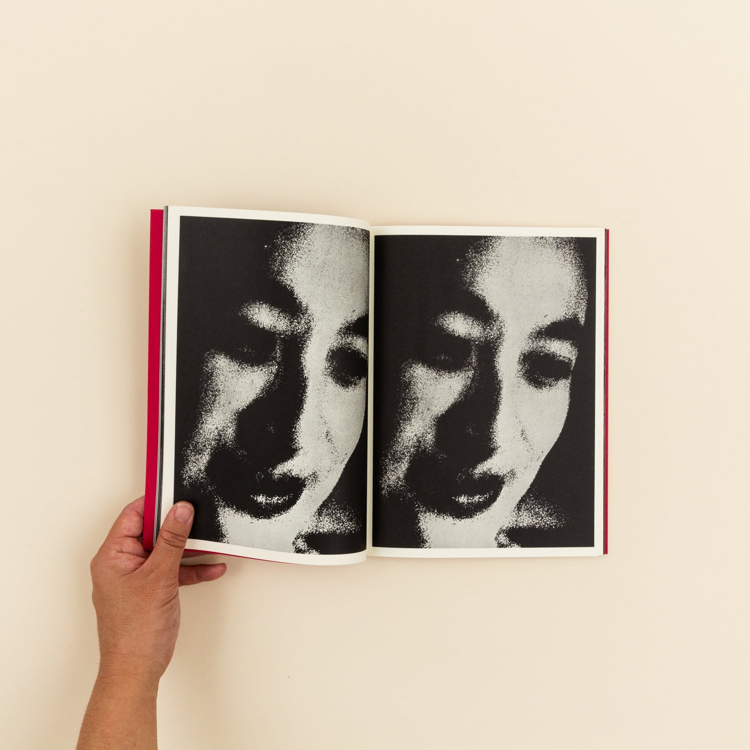 Provoke: Complete Reprint of 3 Volumes – Slow Burn Books
